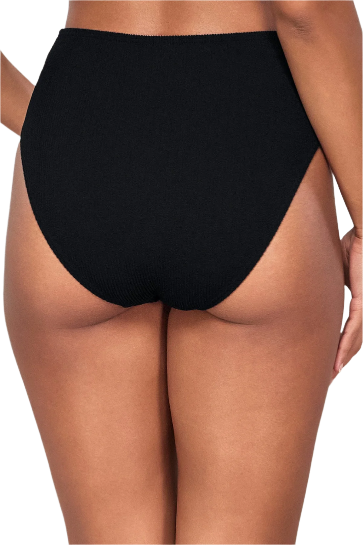 Pacifica Astrid High Waist Bikini Bottom - Black Pacifica
