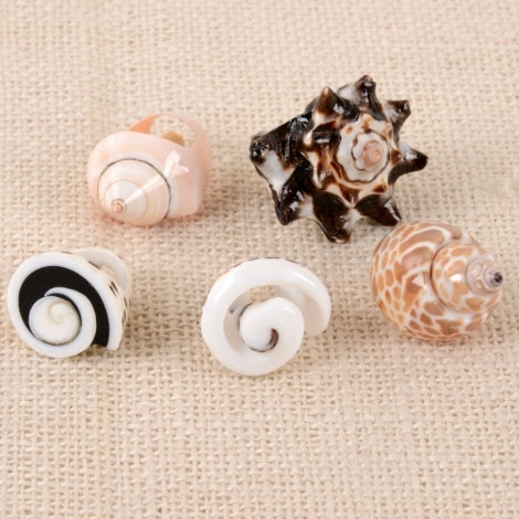 Pink House Sea Shell Rings - Assorted