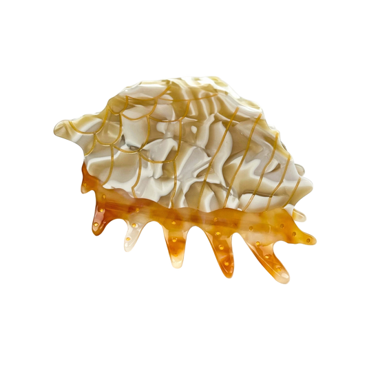 SSR Acetate Spiral Conch Shell Hair Claw Clip