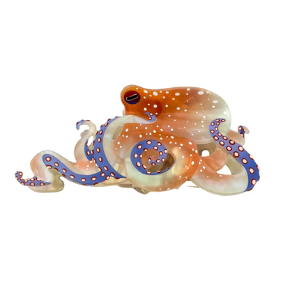 SSR Blue Ring Octopus Hair Claw Clip - White