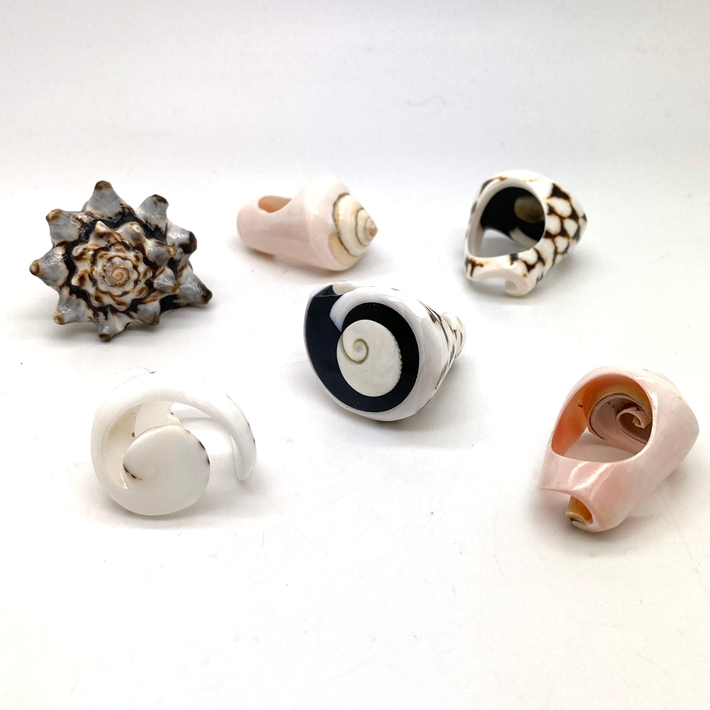 Pink House Sea Shell Rings - Assorted