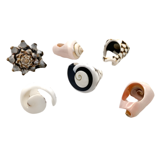 Pink House Sea Shell Rings - Assorted