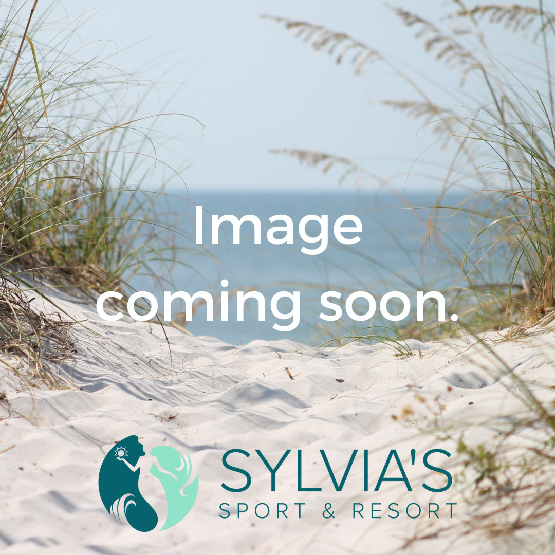 Speedo Men's Marina Volley 20" Swim Trunks - Navy