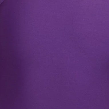 Jolyn Julian 2 Contrast Swim Onesie - Grape Multi