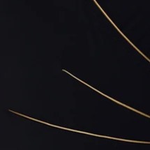 Gottex Modern Lux Surplice One Piece - Black/Gold