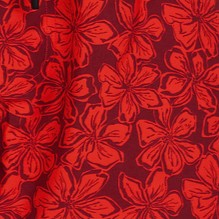 Kulani Kinis Men's Swim Trunks - Sassy Sangria